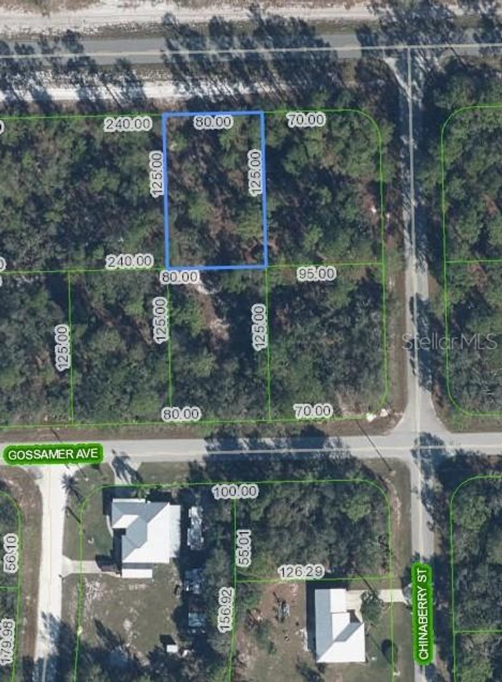Photo of 3226 Lake June Boulevard, Lake Placid, FL 33852 (MLS # O6339536)