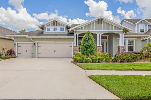 16712 COURTYARD LOOP LAND O LAKES FL 34638