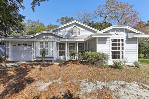 A home in MOUNT DORA