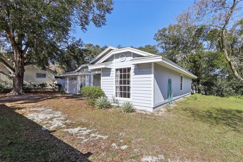 A home in MOUNT DORA