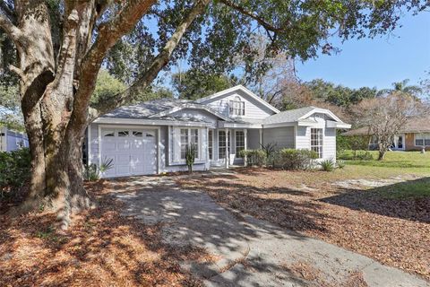 A home in MOUNT DORA