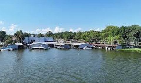 A home in MOUNT DORA