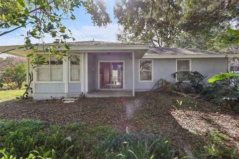 A home in MOUNT DORA