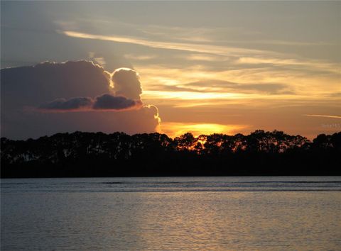 A home in MOUNT DORA