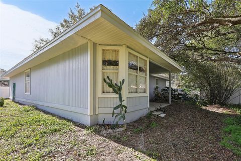 A home in MOUNT DORA