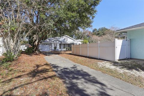 A home in MOUNT DORA