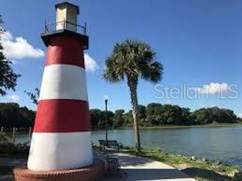 A home in MOUNT DORA