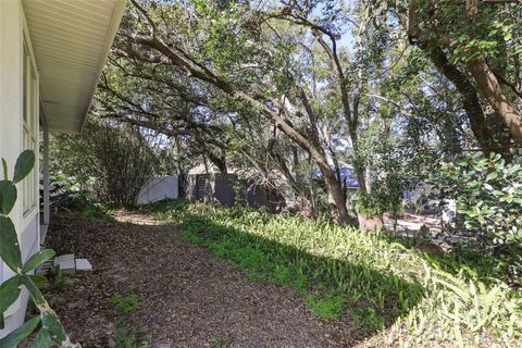 A home in MOUNT DORA