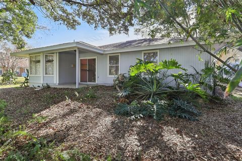 A home in MOUNT DORA