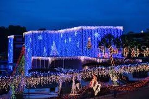 A home in MOUNT DORA