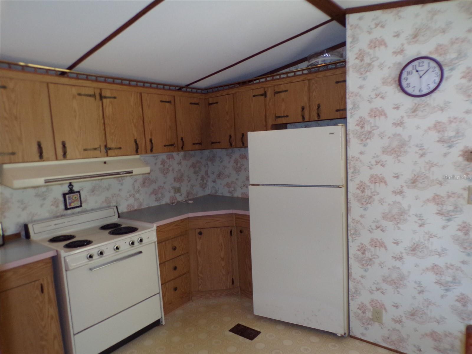 WEEKI WACHEE ACRES - Residential