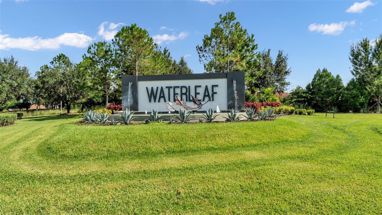 WATERLEAF - Residential