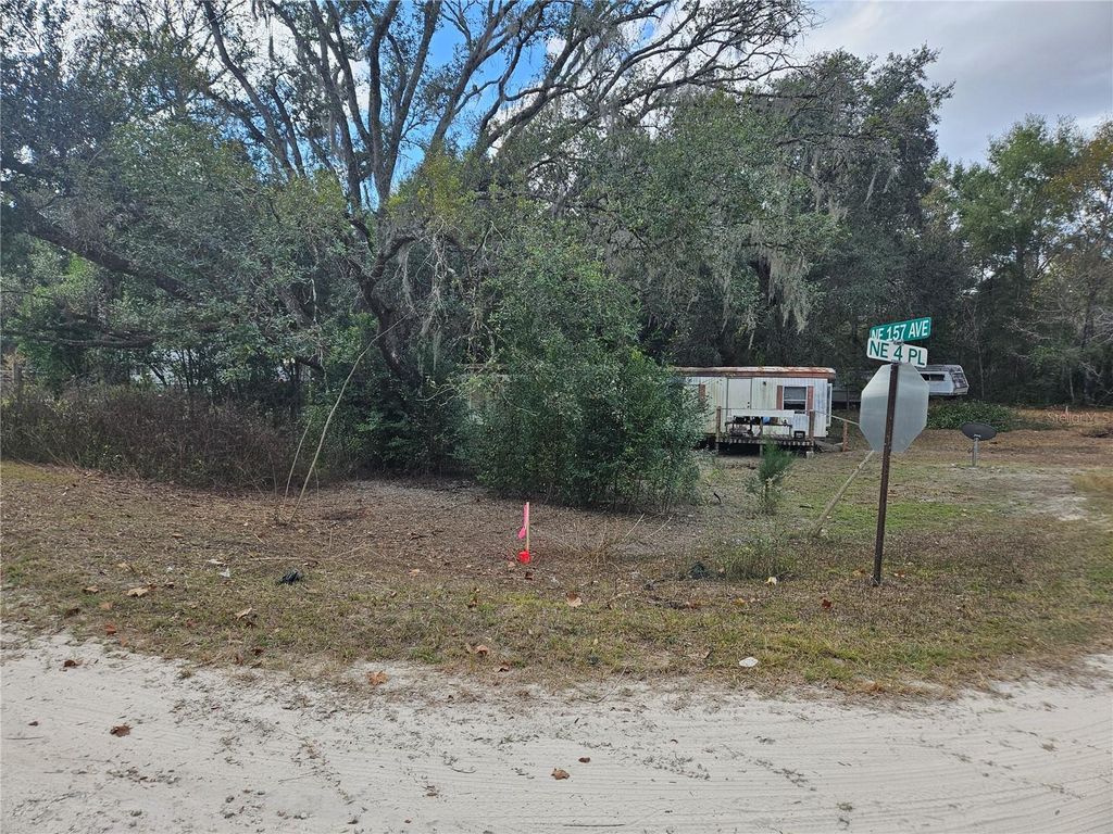 Photo of 15950 NE 4th Place, Williston, FL 32696 (MLS # OM716664)