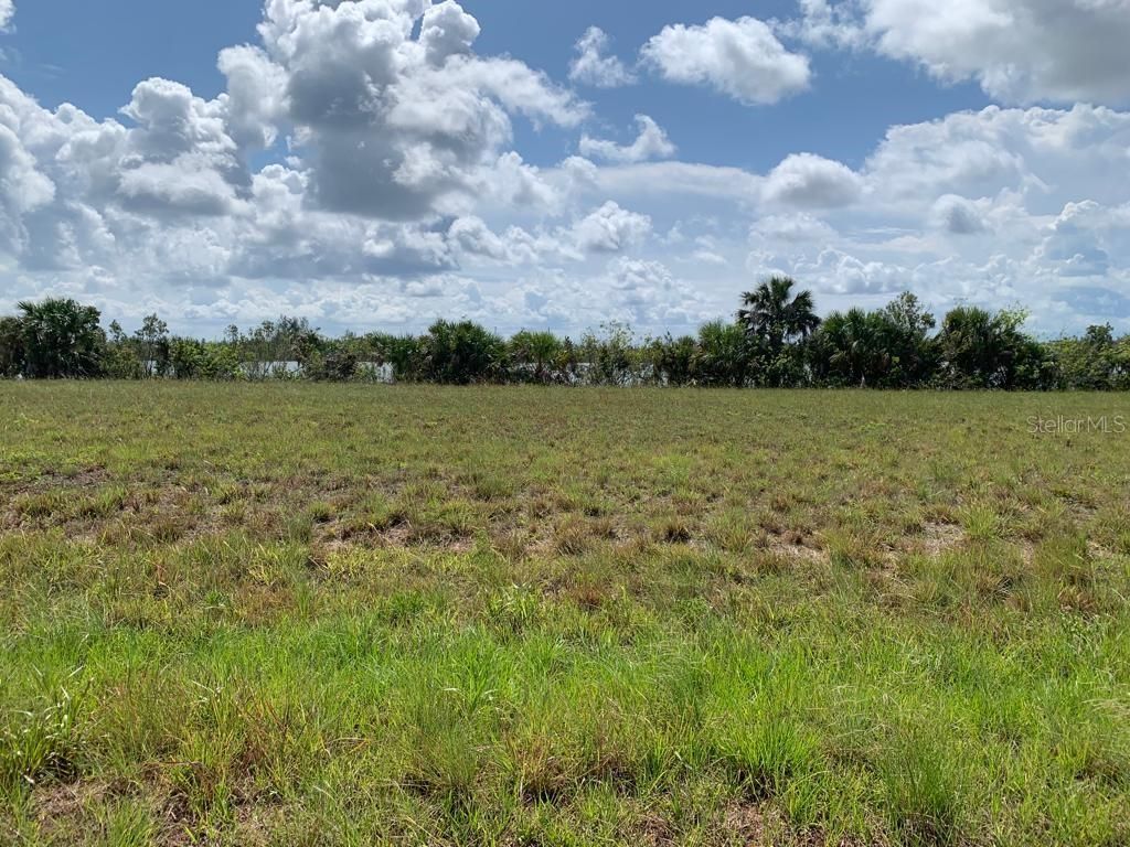 Photo of 38 Macaw Drive, Placida, FL 33946 (MLS # O6249275)