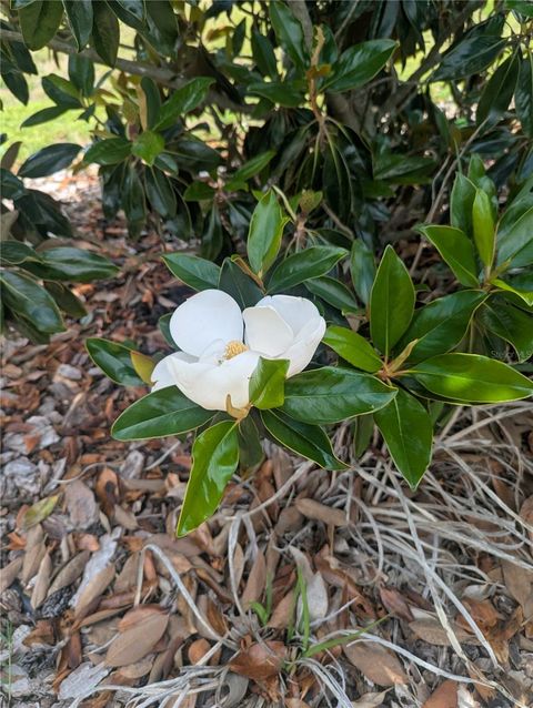 Tiny photo for 9985 SW 88th Loop, Ocala, FL 34481 (MLS # OM724706)
