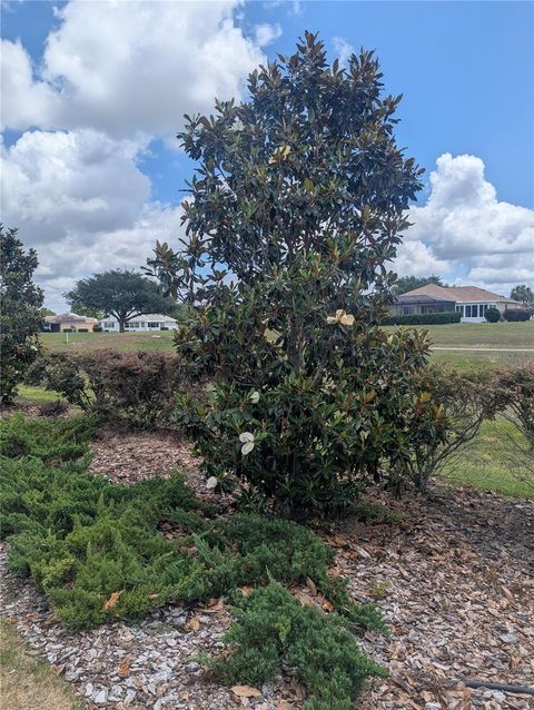 Tiny photo for 9985 SW 88th Loop, Ocala, FL 34481 (MLS # OM724706)
