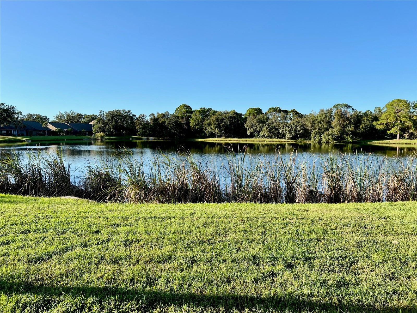 WOODLAKE VILLAS AT PALM-AIRE VI,VII&XI - Residential Lease