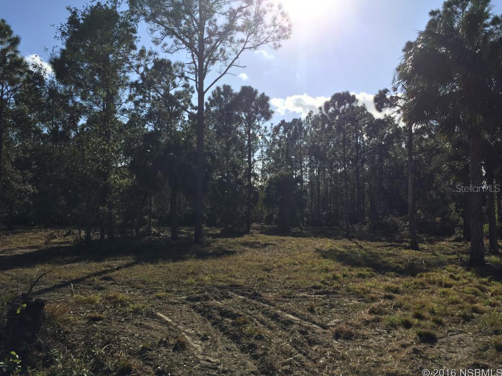 Turnbull Bay Woods Unrec 1144 - Land