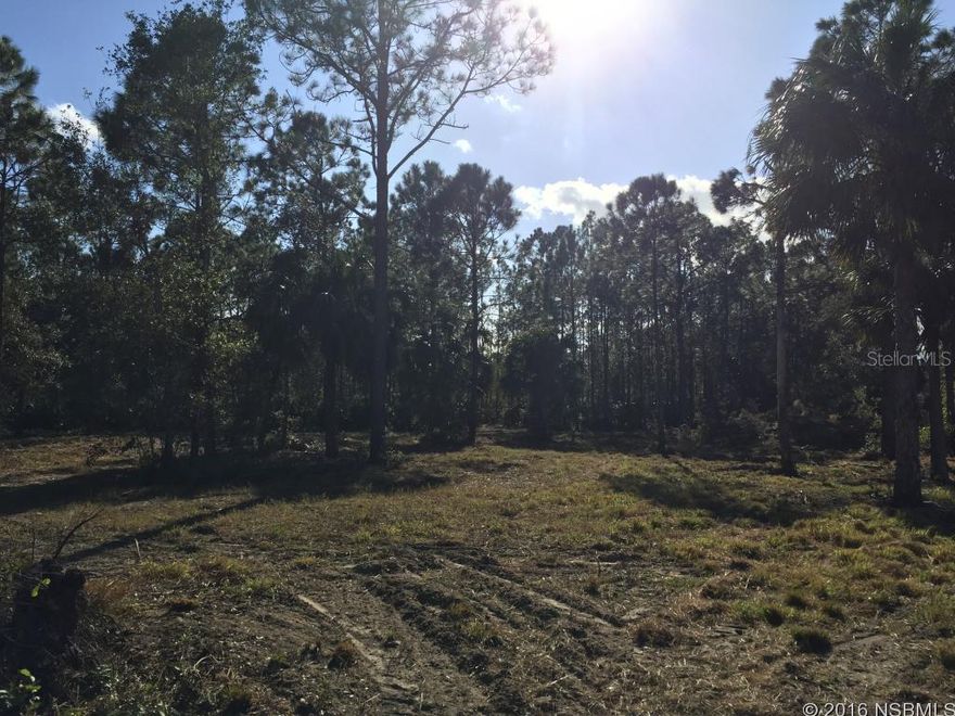 Build your dream home on 2.86 acres just 15 minutes from the beach.  This is a one of a kind high elevation lot that sits atop the Jane Lacey Aquifer.  It comes with a 115'/2" irrigation well hand pump.  The property has a small clear fresh water spring fed pond.  It is partially fenced with a metal gate.  Come take a look!; Cleared: Partial ;Water: Available at Site