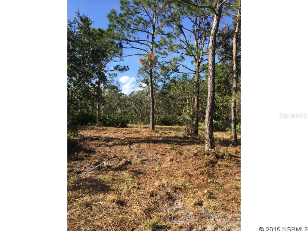 Turnbull Bay Woods Unrec 1144 - Land