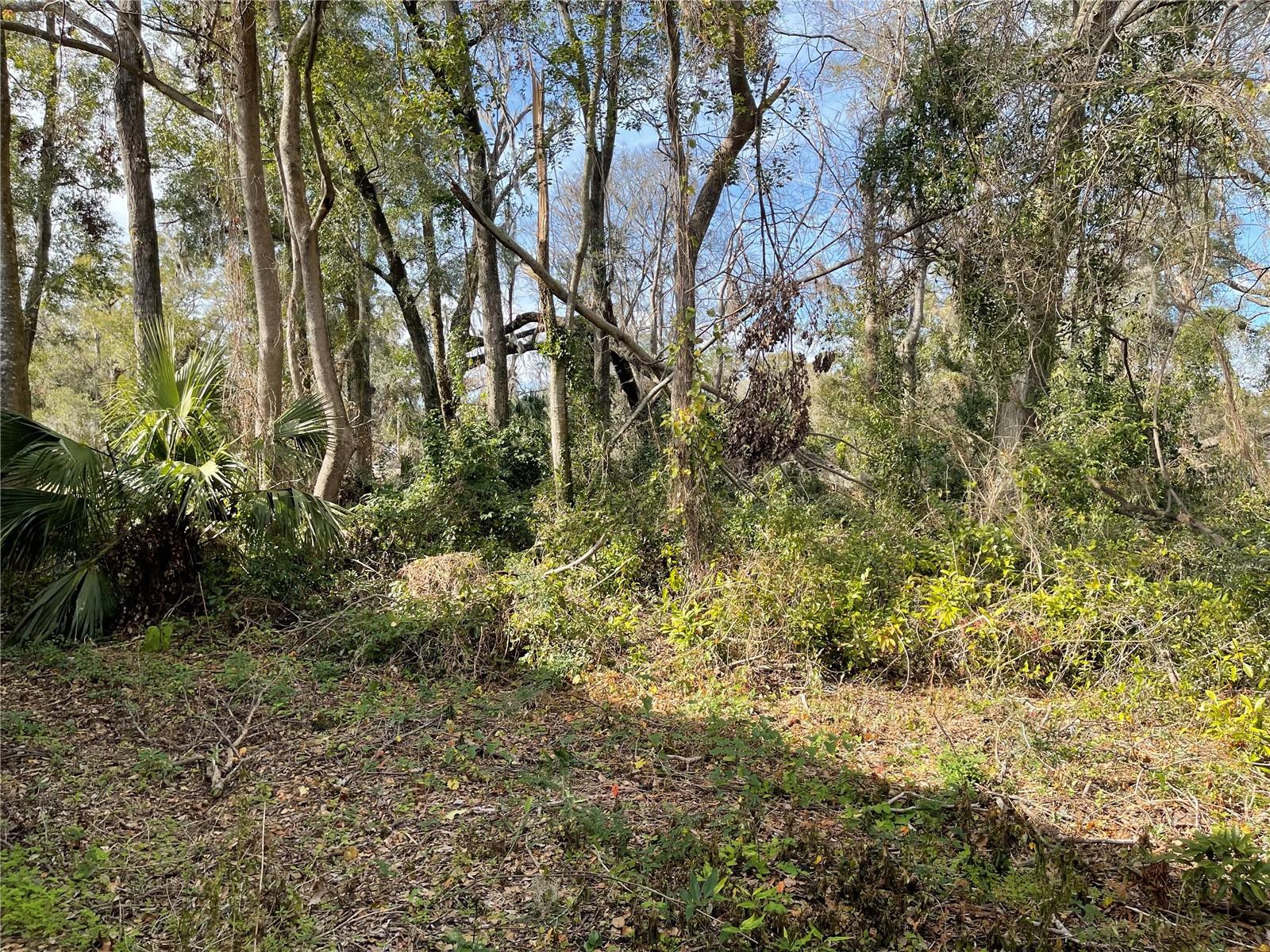 lot 1 NW 135TH TERRACE