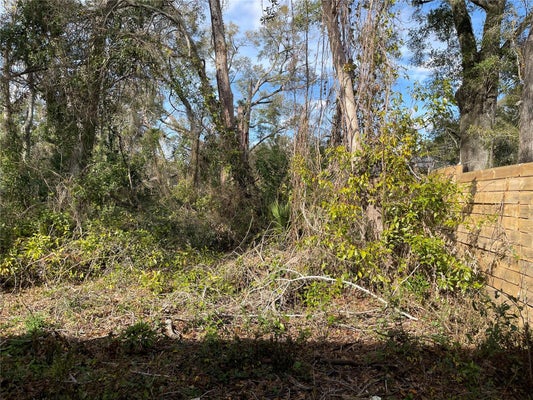 LOT 1 NW 135TH TERRACE, ALACHUA, FL 32615 - Image a62466a2220f862eea4bc0db3dc7fdde/2176703650