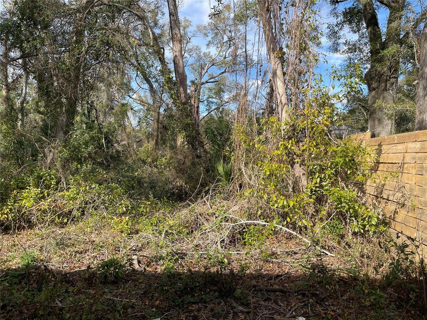 Affordable 50 x 100 lot in city of Alachua. New homes being built around it. Great opportunity to build an affordable home. Lot adjacent is also available and for sale. The lot is right behind the home at 15014 NW 135th Terrace Alachua, Fl. 32615