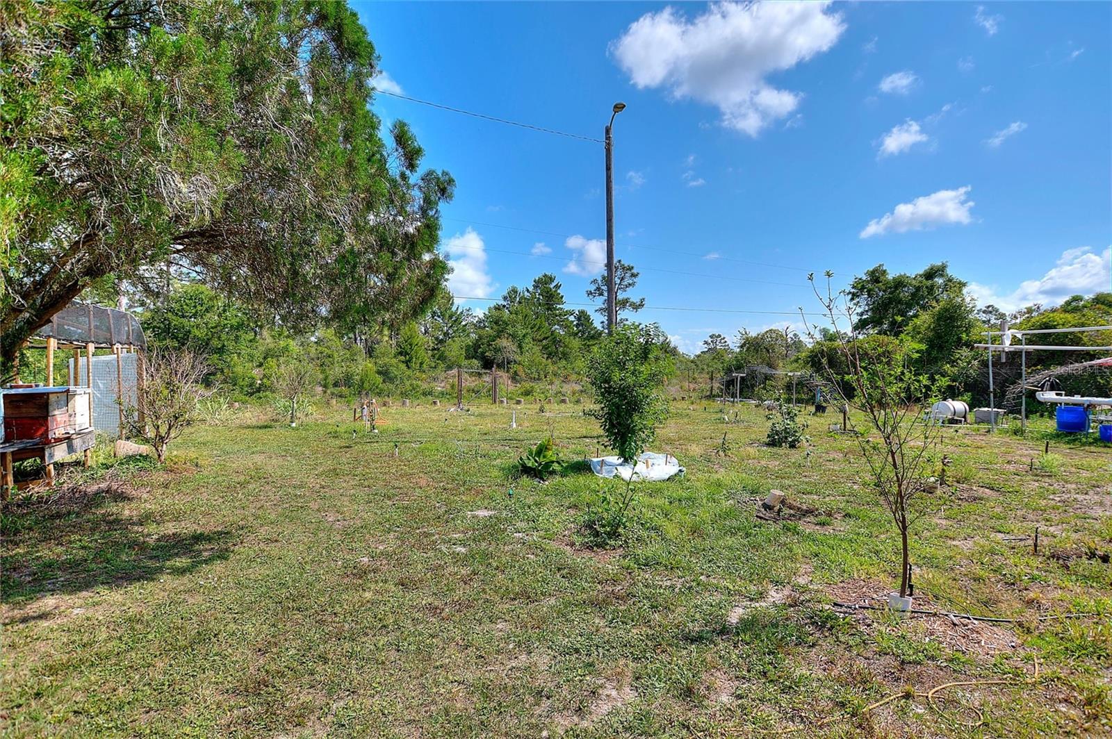 INDIAN LAKE ESTATES - Residential