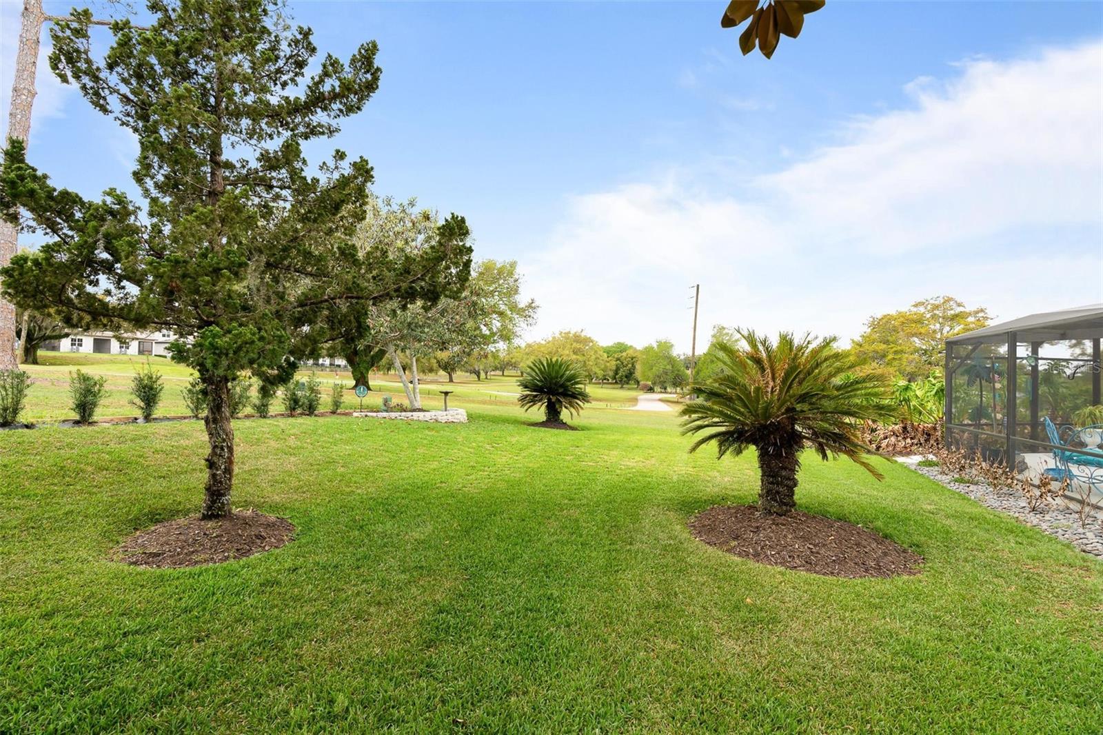 VILLAGE GREEN - Residential