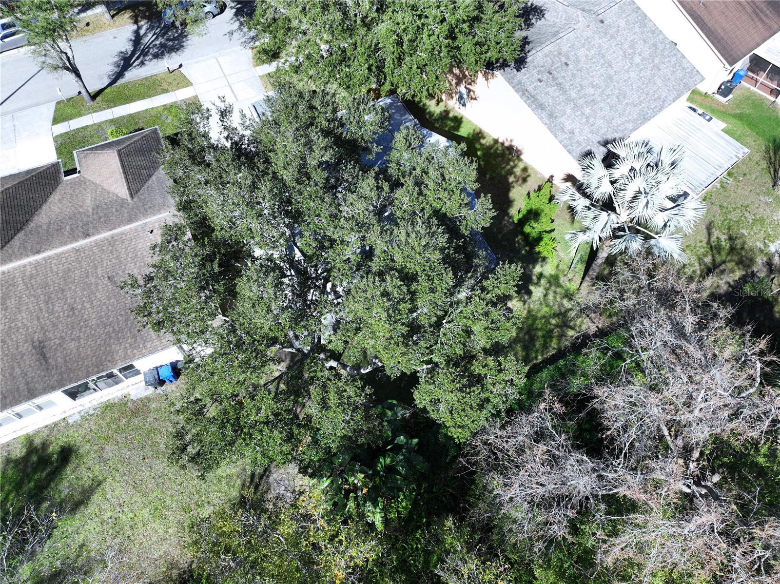 OAK FOREST 2 - Residential