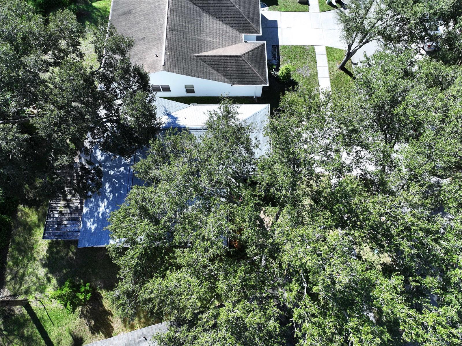 OAK FOREST 2 - Residential