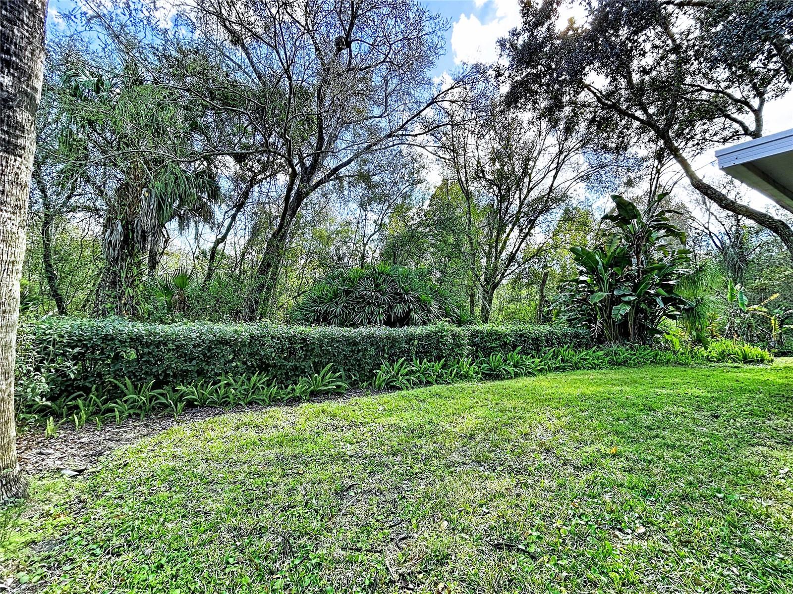 OAK FOREST 2 - Residential