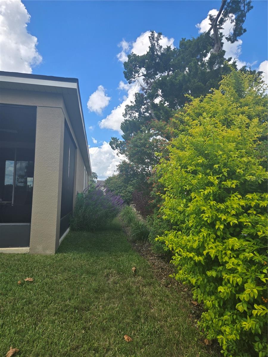 BENTLEY GREEN - Residential