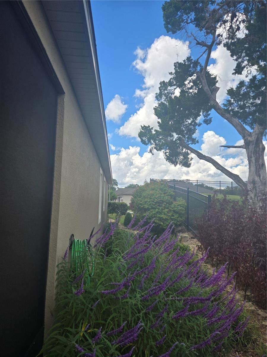 BENTLEY GREEN - Residential