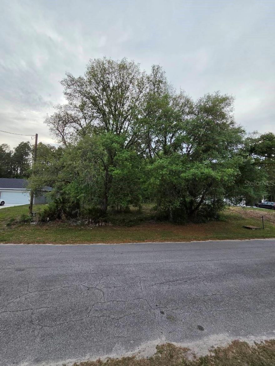 Build your dream home on this .23-acre lightly wooded lot located in the desirable Marion Oaks! Zoned R-1 for site-built homes, this property offers a great opportunity for new construction in a growing community with no HOA fees. Situated in a non-flood zone, providing added peace of mind. Enjoy the natural setting while still being conveniently close to shopping, dining, schools, and easy access to I-75. Whether you’re ready to build now or invest for the future, this parcel is a great opportunity. Don’t miss out!