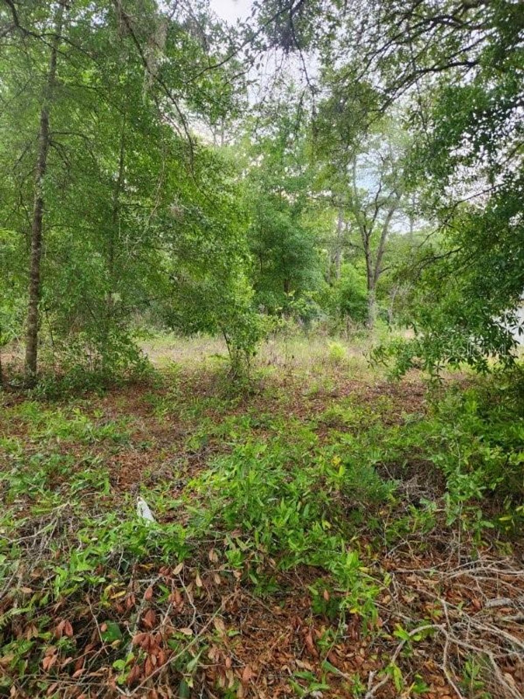 Photo of 00 Marion Oaks Pass, Ocala, FL 34473 (MLS # OM724004)