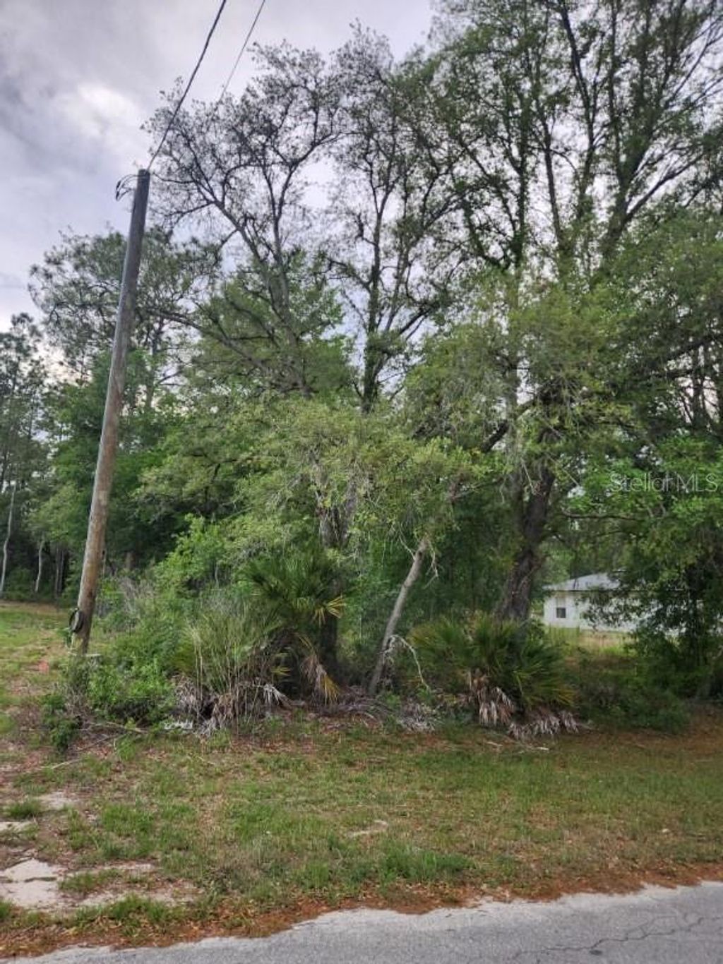 Photo of 00 Marion Oaks Pass, Ocala, FL 34473 (MLS # OM724004)