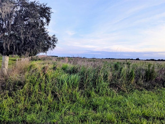 TOM BRYAN RD, ZOLFO SPRINGS, FL 33890 - Image a633a3d3059ea9428a1a0a2e1b243aff/1633268508