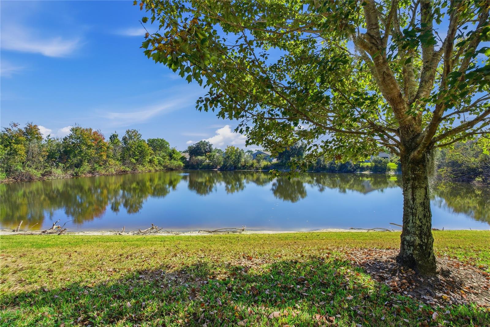 MEADOW POINTE IV PRCL I - Residential Lease