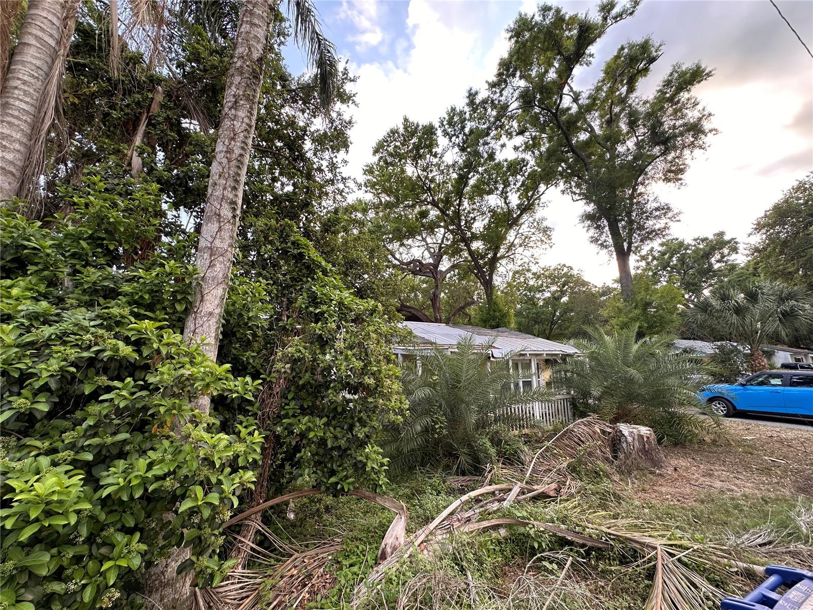 HAMILTON HEATH REV MAP - Residential