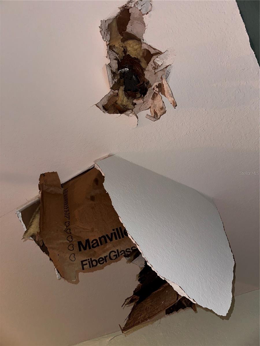 HAMILTON HEATH REV MAP - Residential