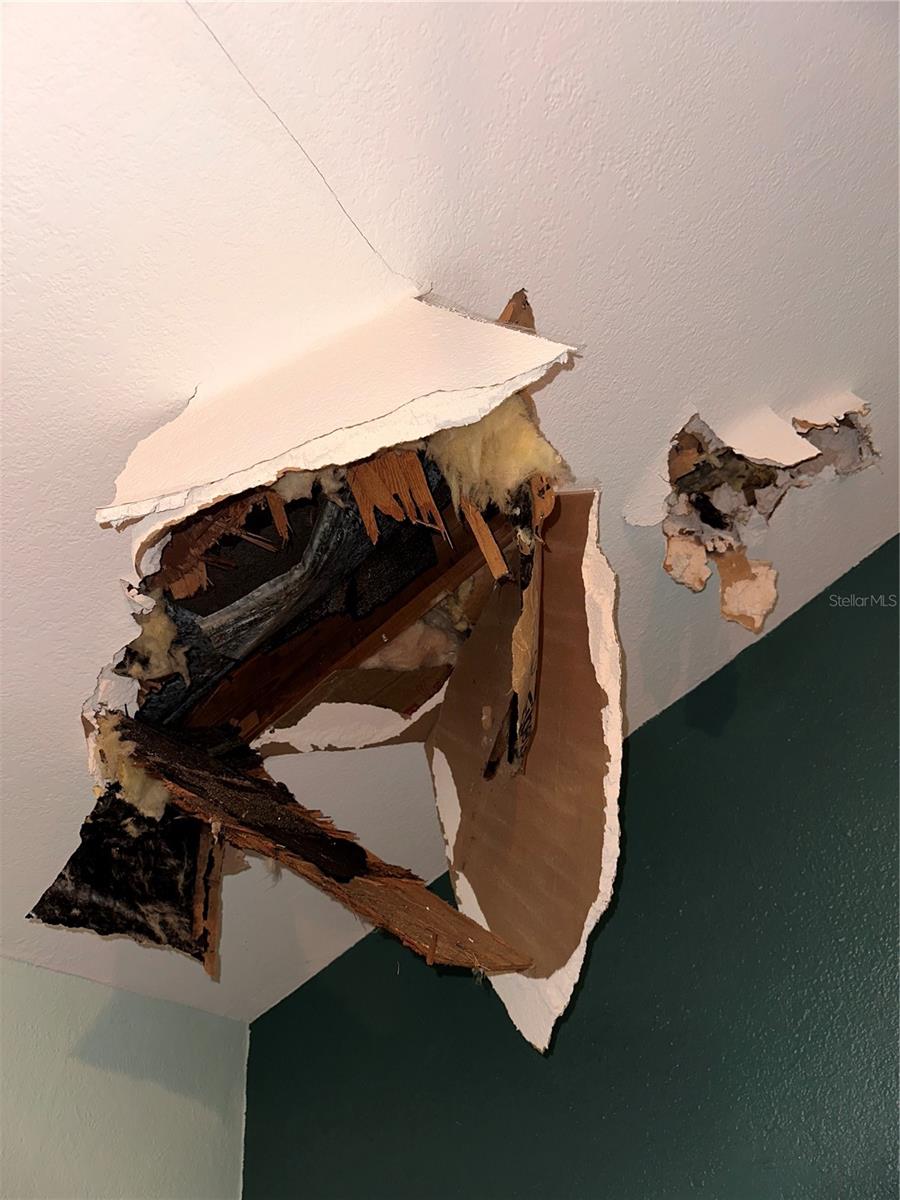 HAMILTON HEATH REV MAP - Residential