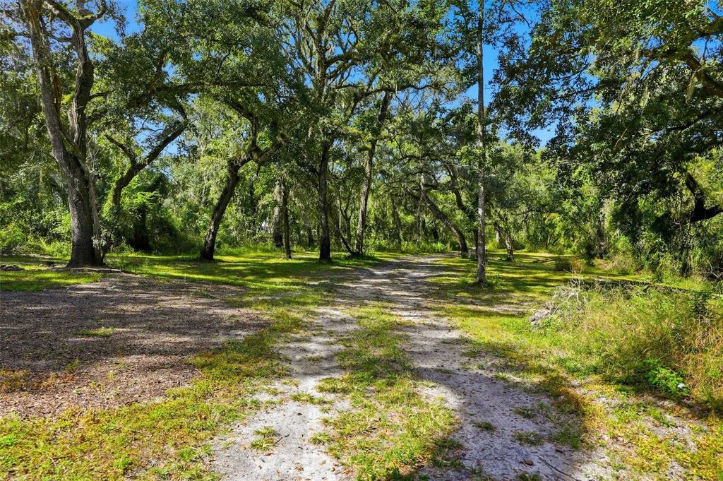 Photo of 6234 Cyril Drive, Dade City, FL 33523 (MLS # W7875709)