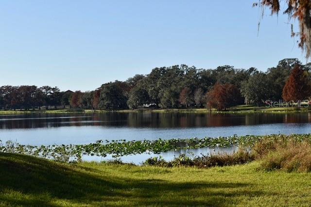 CYPRESS POINTE/LK ORLANDO - Residential