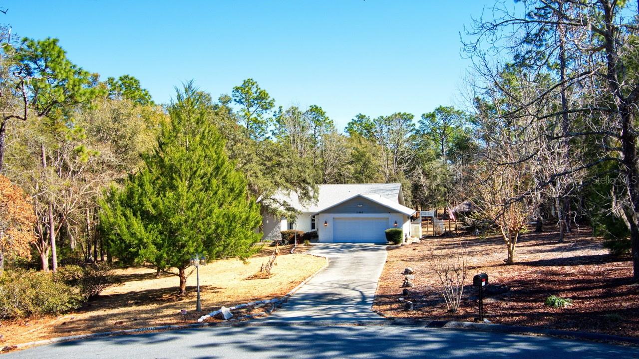 12005 S HYACINTH POINT