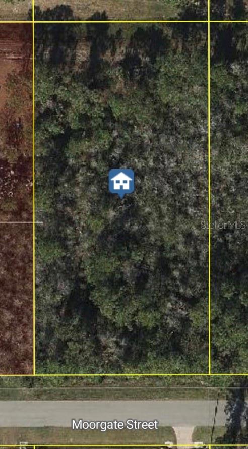 Build your dream home on this exceptional vacant lot in Wedgefield Cape Orlando Estates, one of East Orlando’s most sought-after communities! This expansive lot offers the perfect blend of privacy and natural beauty, nestled among custom-built homes and surrounded by serene Florida landscape. Enjoy the peace and space of country living with convenient access to major highways, the Orlando International Airport, Lake Nona Medical City, UCF, and the Space Coast beaches. Whether you’re looking to build now or invest for the future; this is an outstanding opportunity in a rapidly growing area. Don’t miss your chance to own a piece of paradise in Wedgefield!