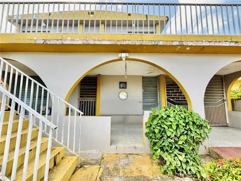 510 510 205-12 CAROLINA  00985