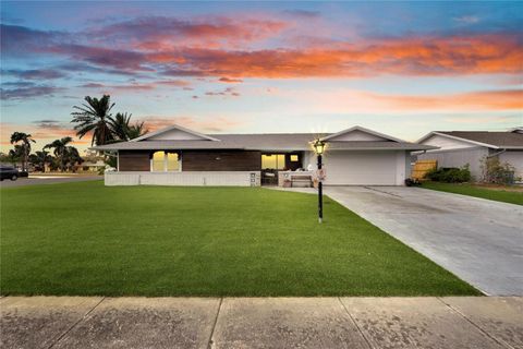 A home in SUN CITY CENTER