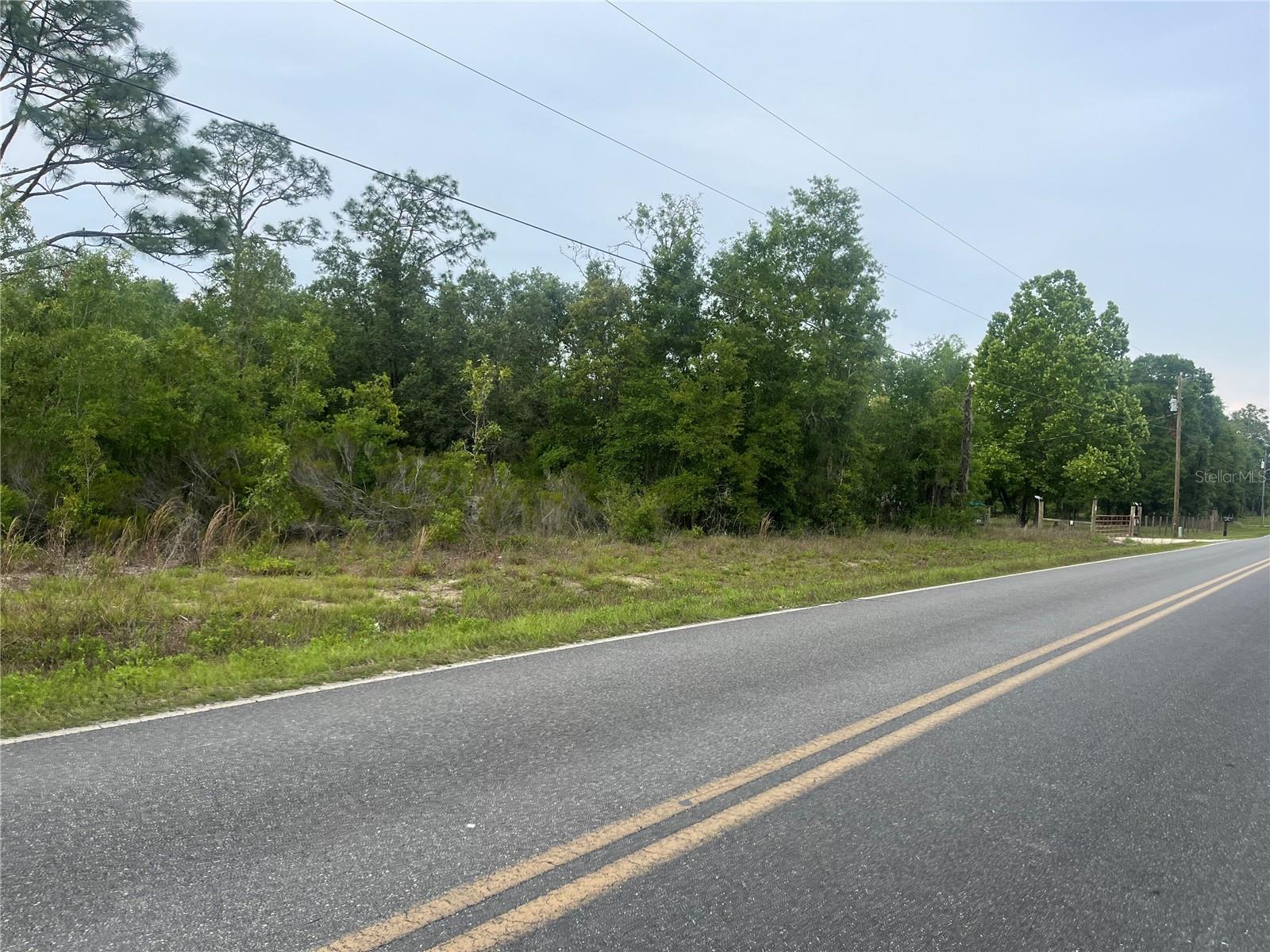 BRONSON RANCHETTES - Land