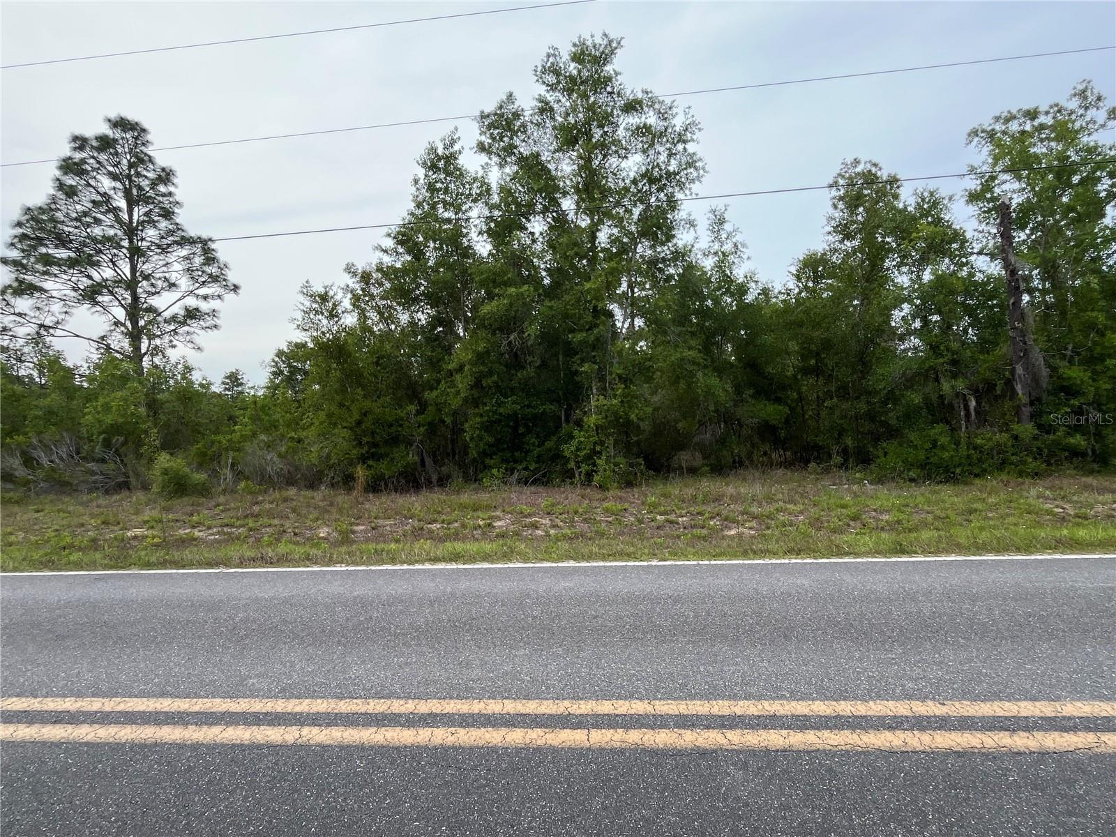 BRONSON RANCHETTES - Land